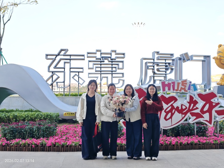 ИЦТ Луци из Хунана